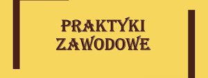 PRAKTYKI ZAWODOWE